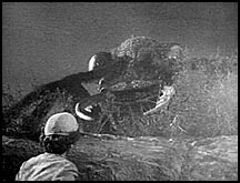 Filmauschnitt aus "Them!" (1)